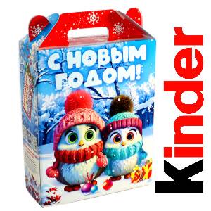 Детский подарок на Новый Год в жестяной упаковке весом 830 грамм по цене 3297 руб в Комсомольске-на-Амуре